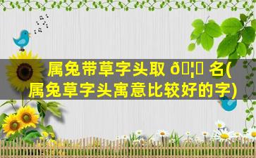 属兔带草字头取 🦊 名(属兔草字头寓意比较好的字)